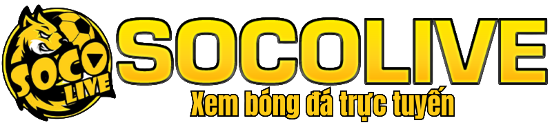 socolivezq.top