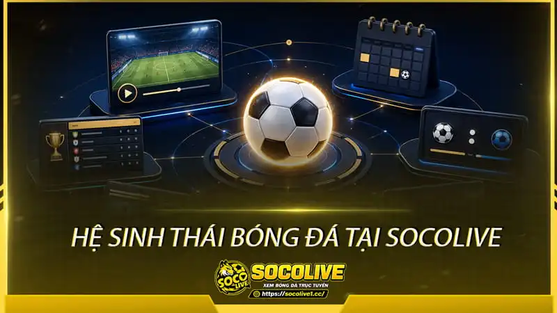 Socolive sỡ hữu hệ sinh thái bóng đá đa dạng Socolive sỡ hữu hệ sinh thái bóng đá đa dạng