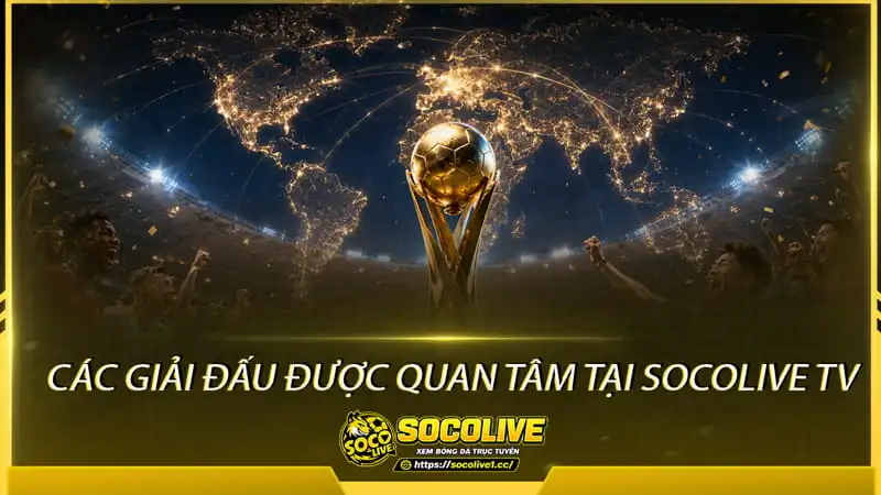 Trực tiếp bóng đá Socolive sở hữu đa dạng các giải đấu Trực tiếp bóng đá Socolive sở hữu đa dạng các giải đấu